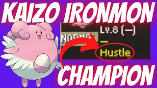 How I Beat KAIZO IRONMON with HUSTLE