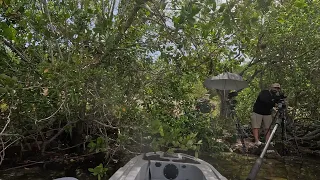 I crashed the CHITSHOW on my Kayak at Black Point Marina