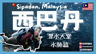 [馬來西亞Malaysia] 潛水員天堂之必去的西巴丹SIPADAN 究竟到底有多值得？