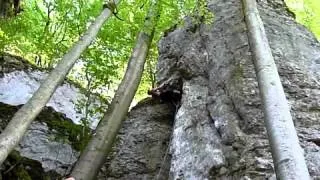 Harald Busch bei einem Versuch in Freud-volle-Kante (7), Nervenheilanstalt, Frankenjura