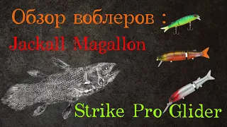 Обзор воблеров Jackall Magallon и Strike Pro Glider. Приманки для пассивной щуки.