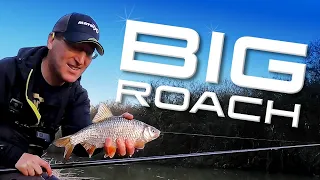 Big Roach! (Canal Fishing With Casters)