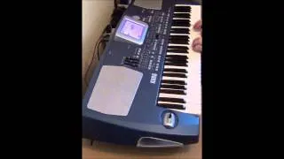 Korg PA-500 Accordions Demo - Patch 006 - Master Accordion