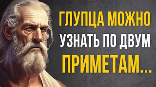 Если бы УЗНАТЬ ЭТО раньше! Мощные  слова Античного философа ПЛАТОНА! Цитаты, Афоризмы