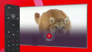 Virgin TV 360 remote features