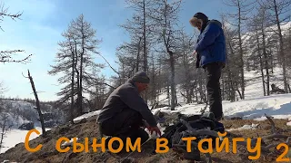 С сыном в тайгу 2. Плато Путорана / Bushcraft in Siberia / Сибирь