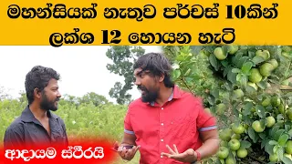 පර්චස් 10කින් ලක්ශ 12 කිසිම දැනුමක් නැතුව හොයන හැටි