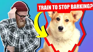 How To Stop Your CORGI Barking