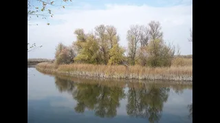 Хоперская рыбалка. Скабежливо спапашился.