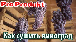 Как сушить виноград