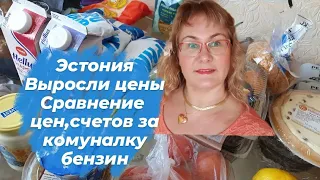 Эстония.Таллинн.Как изменились цены,счета за комуналку, цены на бензин и продукты питания.Влог