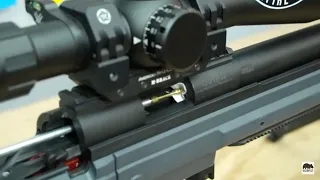 Cleaning My Precision Rimfire Rifle