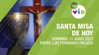 Misa de hoy ⛪ Domingo 11 de Junio 2023, Padre Luis Fernando Palacio - Tele VID