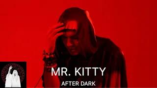 Mr. Kitty - After Dark (Lyrics & Türkçe Çeviri)
