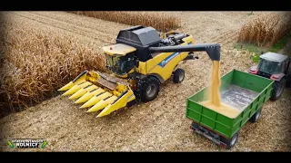 ☆ KUKURYDZA NA ZIARNO 2021 ☆ New Holland CX6080 ☆ Usługi Rolnicze "Pielat" ☆