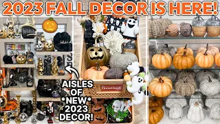 NEW 2023 FALL + HALLOWEEN DECOR MUST HAVES 🎃👻 | HomeGoods Best NEW Decor + Fall Decorating Ideas