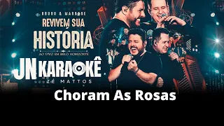 CHORAM AS ROSAS BRUNO & MARRONE  REVIVEM  A SUA HISTORIA JN KARAOKE