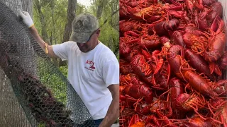 Crawfishing In the Atchafalaya Basin W/Kip Barras (Catch*Cook) Louisiana Crawfish Boil