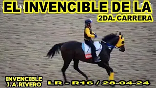 CABALLO INVENCIBLE , SERA EL INVENCIBLE DE LA 2DA. CARRERA?/ LR - R16 / 28-04-24.