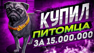 🔥 КУПИЛ ПИТОМЦА 🐒 ЗА 15.000.000 И ПОДНЯЛ  17.000 РУБЛЕЙ В КЕЙСАХ НА REDAGE В - GTA 5 RP 🔥