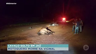 Motociclista morre ao bater em cavalo na vicinal Jaú - Distrito de Potunduva