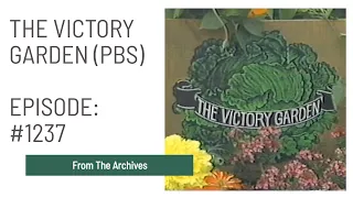 The Victory Garden #1237 | Full Episode | Peter Seabrook | PBS