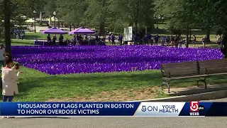 Thousands of purple flags honors those lost to an overdose