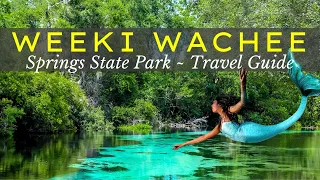 Weeki Wachee Springs State Park & Mermaid Show  | Travel Guide 🧜‍♀️