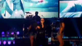 Pitbull Live - Timber