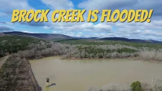 Brock Creek Waterfall Trail! Arkansas ATV Trail Ride