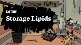 Storage Lipids Overview (Full Lesson) | Sketchy MCAT | Biochemistry
