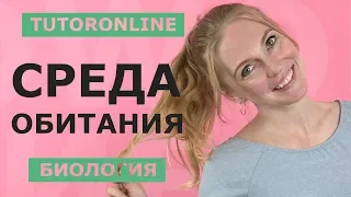 Биология | Среда обитания