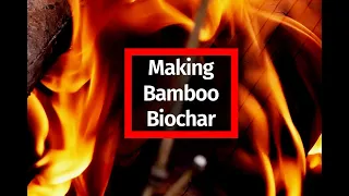 Revolutionize Your Gardening with Biochar Made from Bamboo!