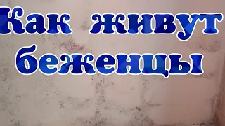 Как живут беженцы