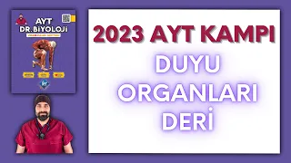 Duyu organları - Deri AYT Biyoloji Kampı Konu Anlatımı/ 11.Sınıf 2024 Tayfa