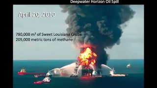 Bacterioplankton responses to the Deepwater Horizon oil spill