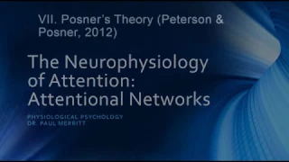 Neurophysiology of Attention: Attention Networks