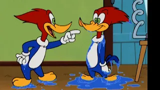 The Woody Clone! | Woody Woodpecker | Cartoons for Kids | WildBrain - Kids TV Shows Full Episodes