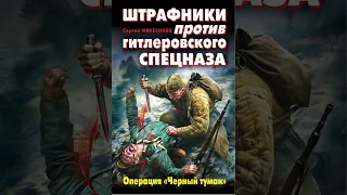 Аудиокнига "Штрафники против гитлеровского спецназа. Операция "Черный туман"" Михеенков С.Е.