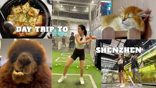 Shenzhen's Biggest Mall You Need To Check Out | Wanda Plaza | Batting cage, Archery, Arcade