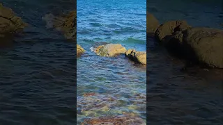 Алупка пляж дикий море Чёрное 🍎