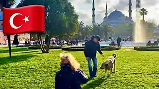 002 Стамбул Площадь СултанАхмет, Голубая Мечеть, Мечеть Айя-София, Парк Гулхане | Блог Стамбул 2021