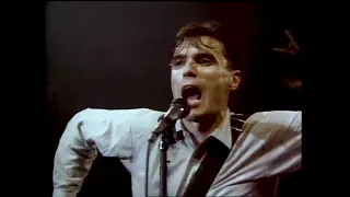 𝙏𝙖𝙡𝙠𝙞𝙣𝙜 𝙃𝙚𝙖𝙙𝙨 - Stop Making Sense (Extra Songs)