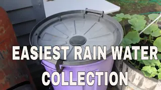 Self Filling Filtered Rain Barrel for Your Garden DIY