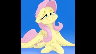 MLP Romance Reading - FlutterSigh