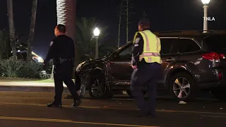 Santa Monica Hit and Run Crash