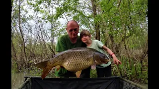 currently the largest scaly carp in hesova