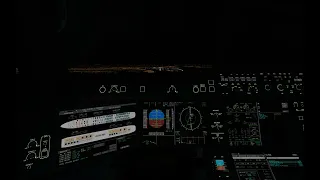 [XPlane 11] A350-900 Landing At Haneda