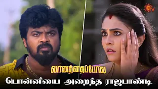 உண்மையை நிரூபிப்பாரா ராஜபாண்டி? | Vanathai Pola - Semma Scenes | 25 Nov 2023 | Tamil Serial | Sun TV