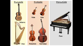 Los instrumentos de cuerda